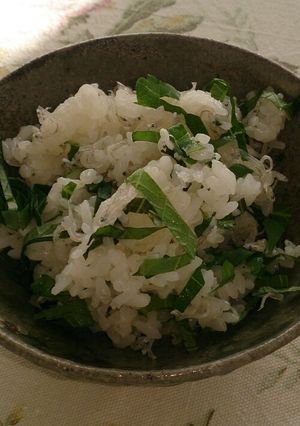 大葉とちりめんじゃこの混ぜご飯。おにぎり-レシピのメイン写真