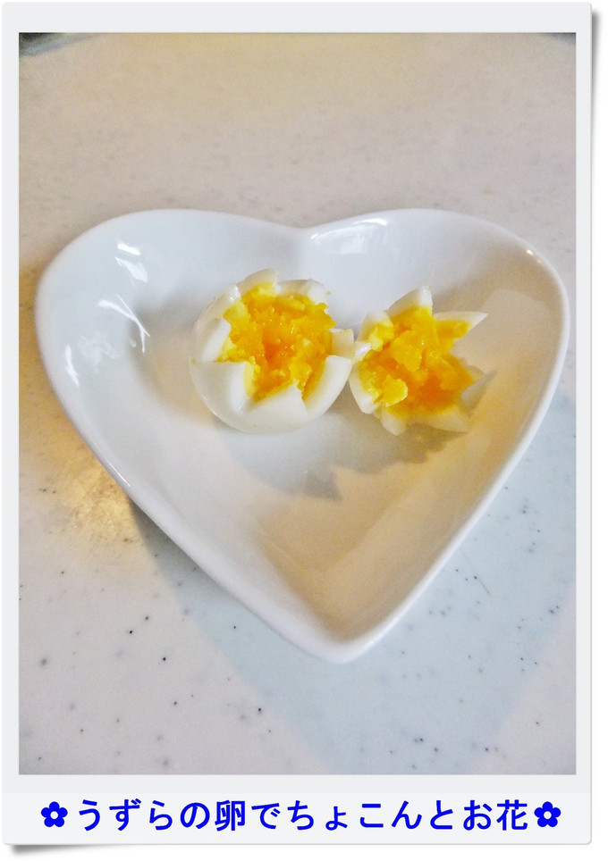 ✿うずらの卵でちょこんとお花✿-レシピのメイン写真