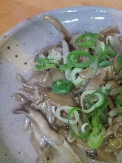 ご飯がすすむ☆豚肉と舞茸ともやし炒め-レシピのメイン写真