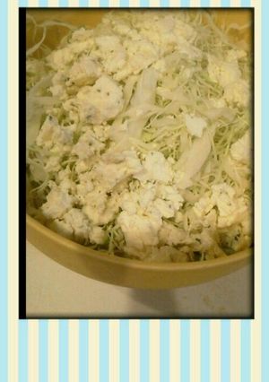 キャベツとチーズの簡単サラダ♪水菜でも-レシピのメイン写真