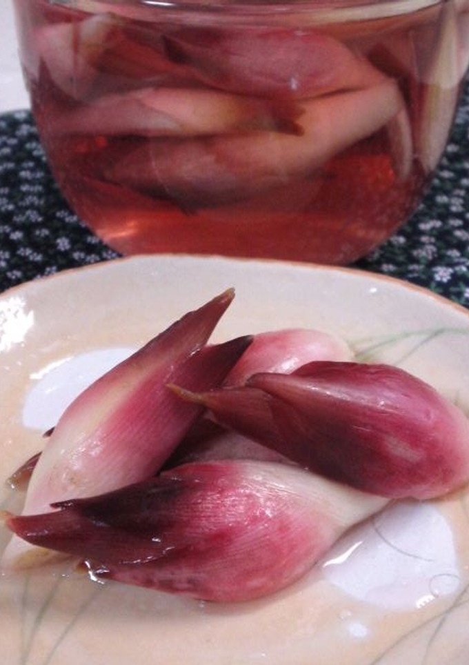 みょうがの甘酢漬け-レシピのメイン写真