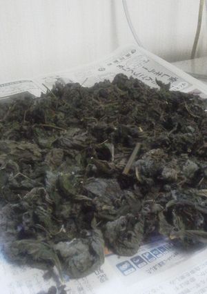 青じそのお茶-レシピのメイン写真