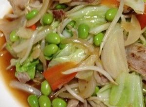 再現！ほっともっとの肉野菜炒め-レシピのメイン写真