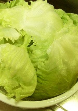 レタスを美味しく-レシピのメイン写真
