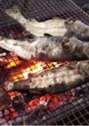 簡単！ブラックバスのワイルド焼き-レシピのメイン写真