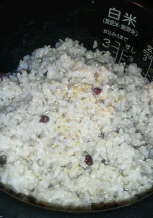 酵素玄米（炊飯器）-レシピのメイン写真