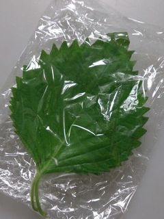 大葉の簡単保存-レシピのメイン写真