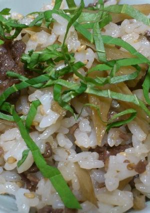 きんぴらごぼうリメイク☆きんぴらご飯-レシピのメイン写真