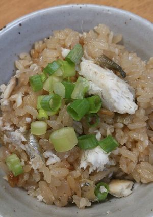 鮎飯♪-レシピのメイン写真
