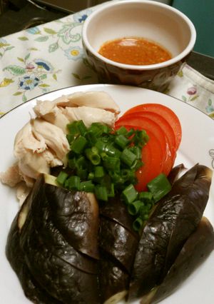 ササミと蒸しナスの冷製-レシピのメイン写真