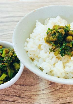 ふき味噌 優しい味付け 砂糖不使用-レシピのメイン写真