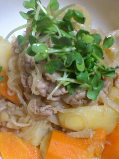 簡単♪我が家の肉じゃがごぼう入り-レシピのメイン写真