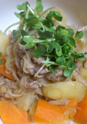 簡単♪我が家の肉じゃがごぼう入り-レシピのメイン写真