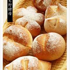 รูปของ とかち野酵母：基本のプチパン８個