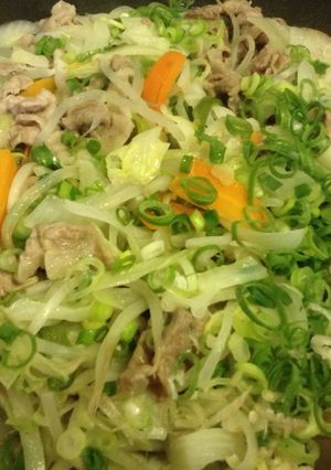meiko風野菜いっぱい炒め-レシピのメイン写真