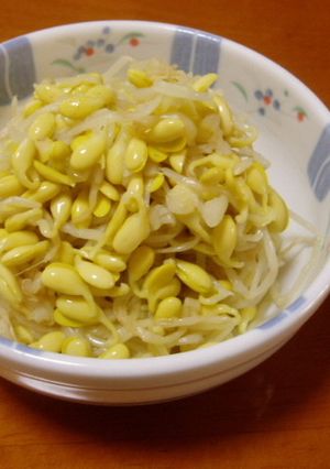 ヘルシー!小粒大豆もやしのさっぱりナムル-レシピのメイン写真