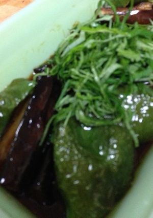 ナスとピーマンの焼き浸し-レシピのメイン写真