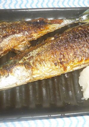 パパの焼き新物サンマ②-レシピのメイン写真