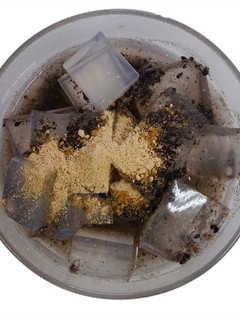 寒天の胡麻みつかけ-レシピのメイン写真