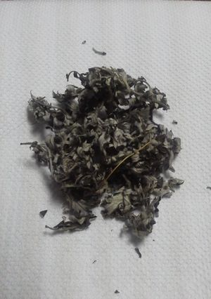 ヨモギ茶-レシピのメイン写真