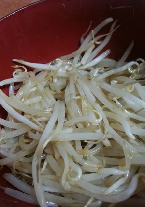 超簡単☆もやしナムル-レシピのメイン写真