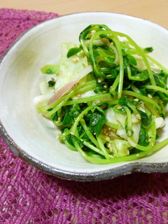 キャベツと豆苗のおひたし-レシピのメイン写真