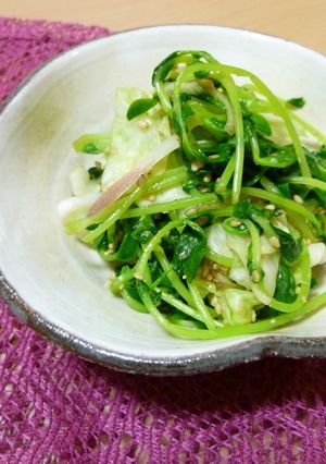キャベツと豆苗のおひたし-レシピのメイン写真