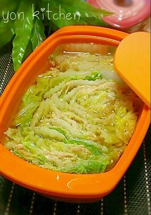 シリコンスチーマーで白菜と豚肉煮-レシピのメイン写真