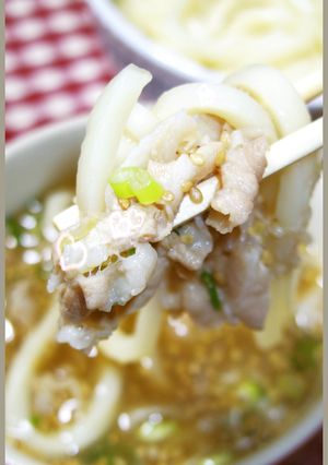 男のロマンだ！にんにくがっつり肉汁うどん-レシピのメイン写真