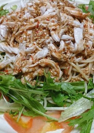 棒々鶏風パスタサラダ-レシピのメイン写真