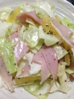 キャベツとキウイのサラダ-レシピのメイン写真