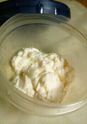 Non-Fat 塩ヨーグルト-レシピのメイン写真