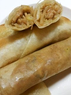 揚げ春巻き♪-レシピのメイン写真
