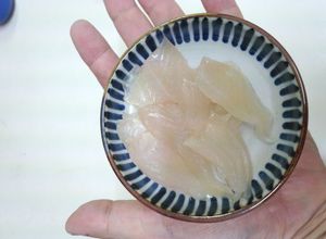 小さいカワハギの刺身・さばくよ♪-レシピのメイン写真