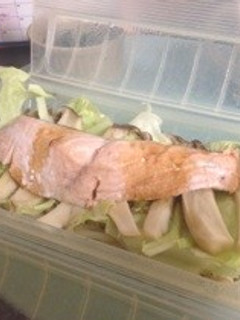 ルクエ☆汁まで美味!鮭野菜蒸し醤油バター-レシピのメイン写真