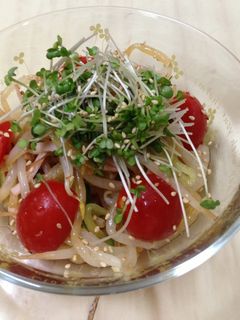 モヤシとレンコンの中華風サラダ-レシピのメイン写真