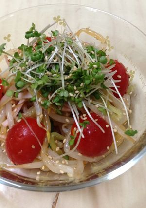 モヤシとレンコンの中華風サラダ-レシピのメイン写真