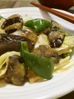 キャベツ*なす*ピーマンのごま味噌炒め-レシピのメイン写真