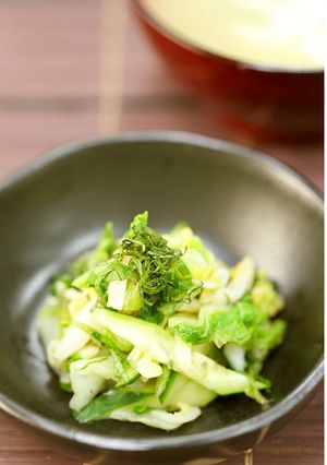 もう１品に❣白菜と胡瓜生姜醤油和え-レシピのメイン写真