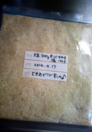 袋で熟成!手作り味噌-レシピのメイン写真