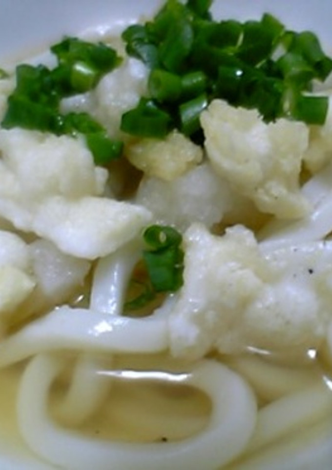 みぞれ煮うどん-レシピのメイン写真