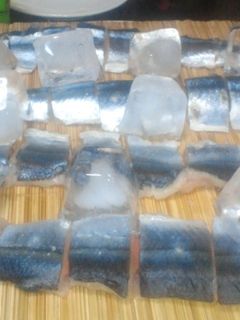 秋刀魚の刺身-レシピのメイン写真
