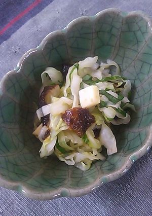 キャベツと大葉の三杯酢☆海苔チーズin-レシピのメイン写真