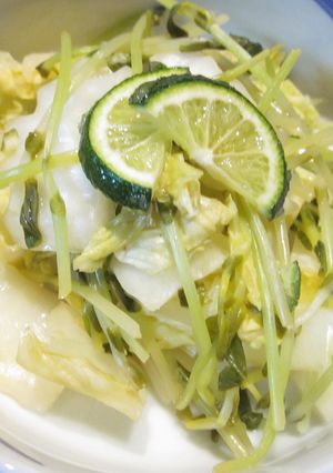 白菜と豆苗のすだち蒸し-レシピのメイン写真