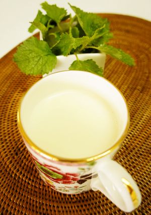レモンバーム♪ほっとミルク-レシピのメイン写真