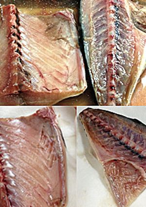 一品入魂！さばの下処理（味噌煮用）-レシピのメイン写真