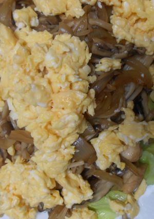 鶏肉ときのこ炒め・炒り卵のせ-レシピのメイン写真