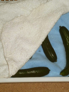 野菜の冷蔵庫保存イロイロ!-レシピのメイン写真