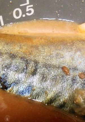 炊飯器で！鯖の味噌煮-レシピのメイン写真