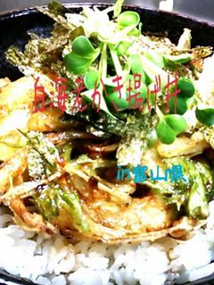 ご当地丼★白海老かき揚げ丼in富山県-レシピのメイン写真